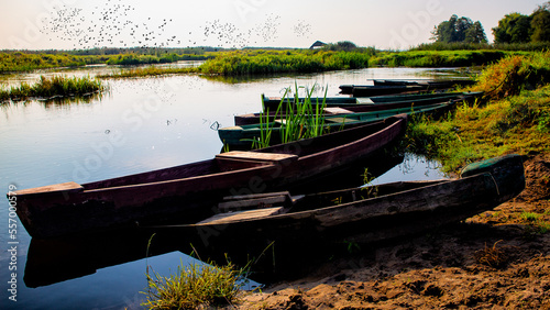 Obraz na płótnie Backwaters in the Narew valley. Poland w salonie