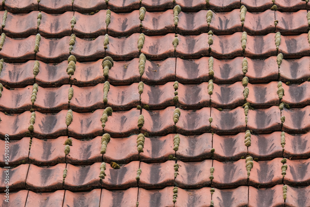 Blick auf ein markantes Dach mit alten, verwitterten roten Dachpfannen aus Ton und mit Moos bewachsenen Fugen