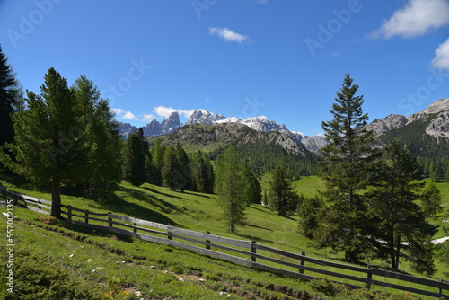 Sommer an der Plätzwiese in Südtirol