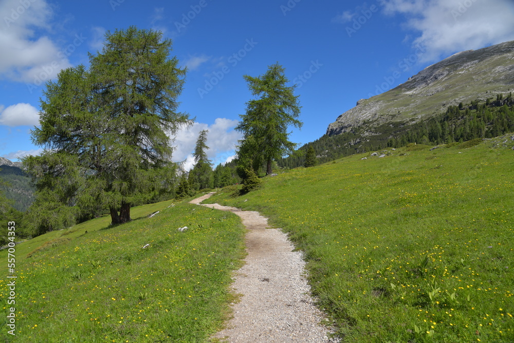 Wanderweg an der Plätzwiese in den Dolomiten Wanderweg an der Plätzwiese in den Dolomiten