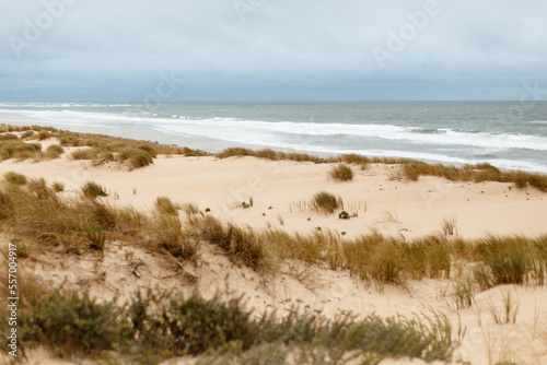 Fototapeta Naklejka Na Ścianę i Meble -  Dunes de sable au bord de l'océan
