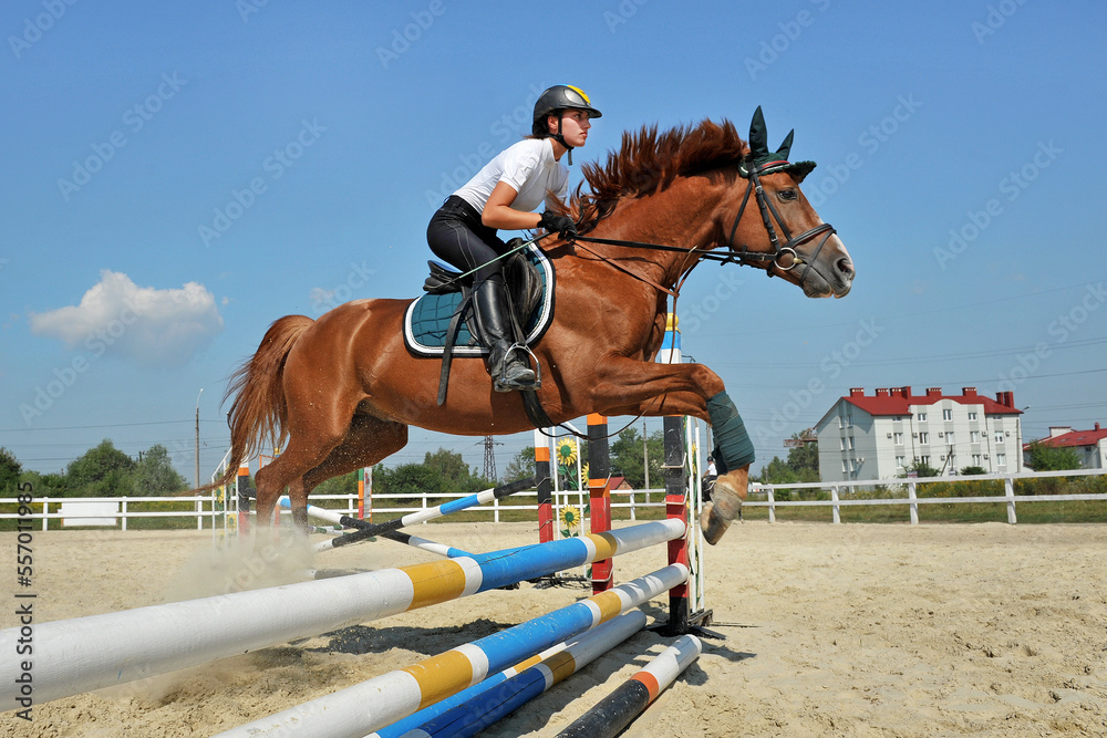 Girl jockey riding a horse jumps over a barrier on equestrian