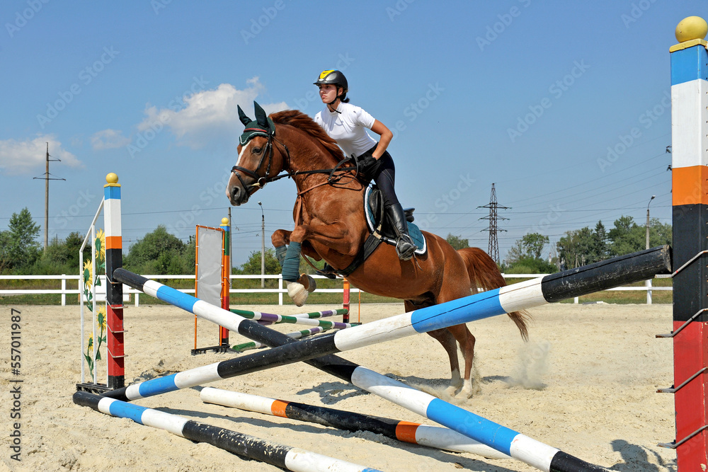 Girl jockey riding a horse jumps over a barrier on equestrian