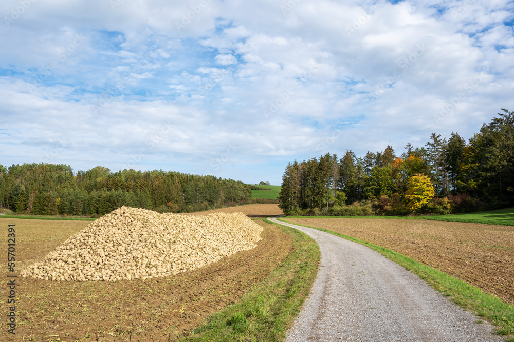 Obraz premium Landschaft Heimsheim