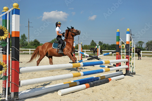 Girl riding a horse stops in front of the barrier on training.