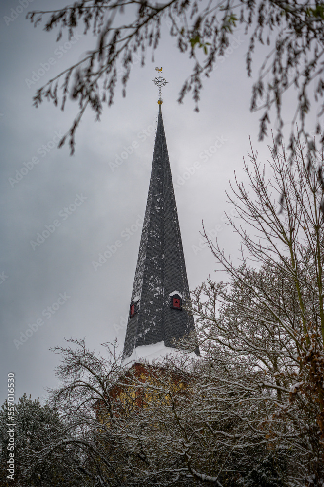 Church tower with golden sphere and rooster on top of slate roof framed by trees