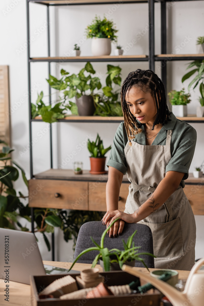 young african american florist in apron looking at laptop near potted plants in flower shop