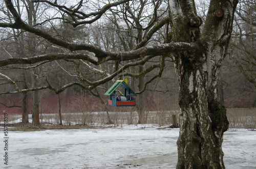 The beautiful bird house on a branch in a winter park