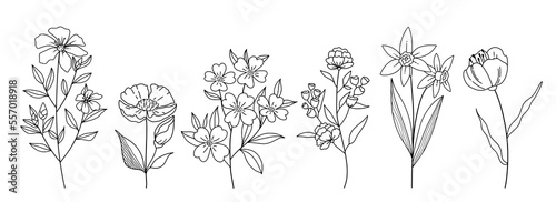 Decorative branch illustration flowers line art