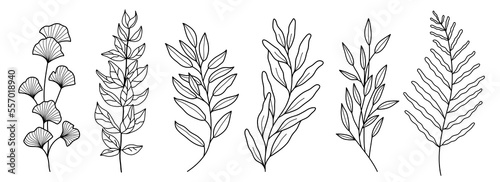 Decorative branch illustration leaves line art