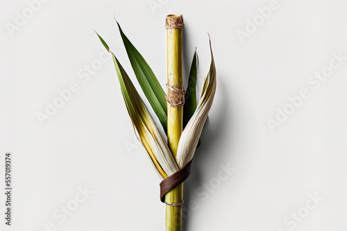 Isolated sugar cane on a white backdrop. Generative AI