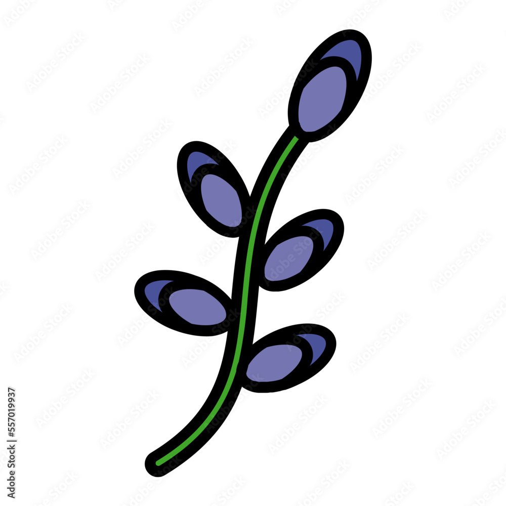 Naklejka premium Lavender Flower