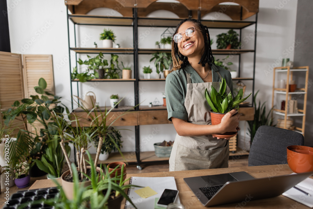 joyful african american florist in eyeglasses holding potted plant and looking away near desk with laptop in flower shop