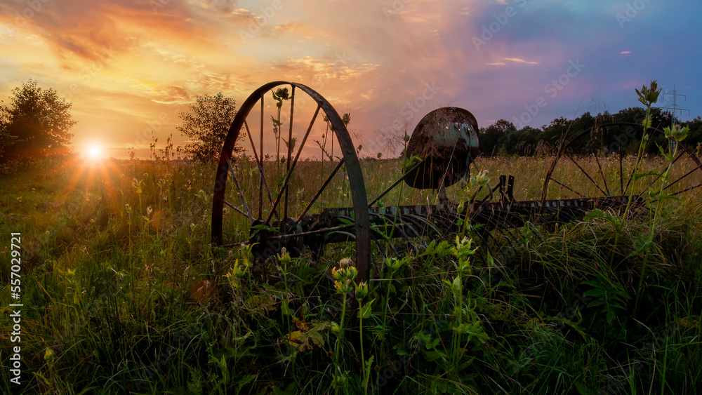 An old agricultural rake found in a field.