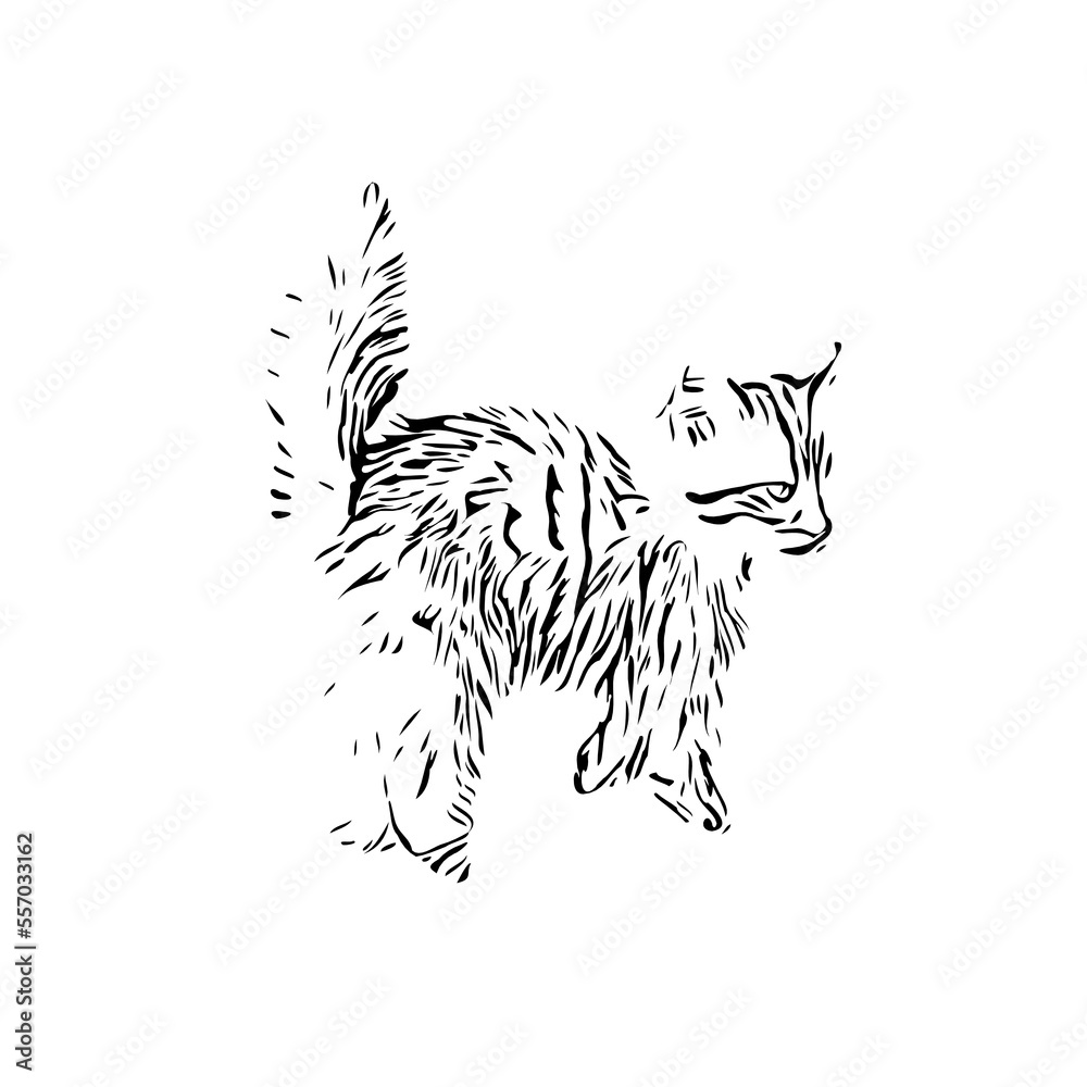 Obraz premium black and white drawing sketch of a cat with a transparent background