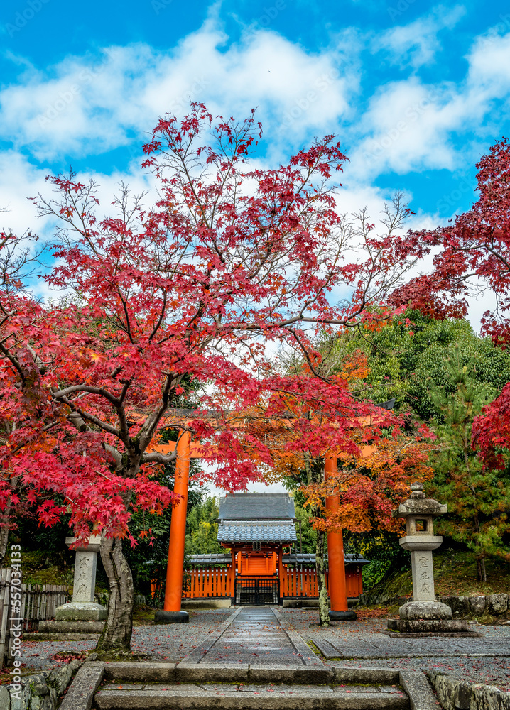 Torii gate at a temple entrance in Japan