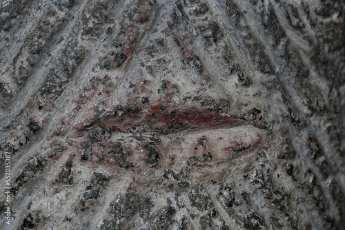 Macro image of the granite of the mouth of a Norman Font at Altarnun Cornwall photo