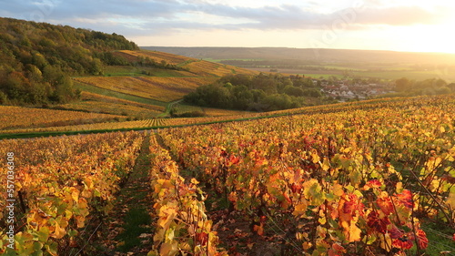 Paysage de coteau de vigne en automne en Champagne Ardenne (France)