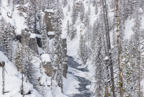 Scenic Snow Covered Landscape in Yellowstone National Park Wyoming in Winter