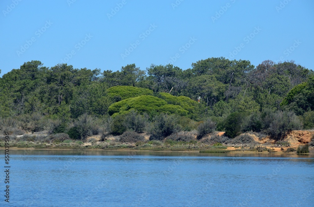 Ria Formosa Natural Park, Olhao, Algarve, Portugal Ria Formosa Natural Park, Olhao, Algarve, Portugal