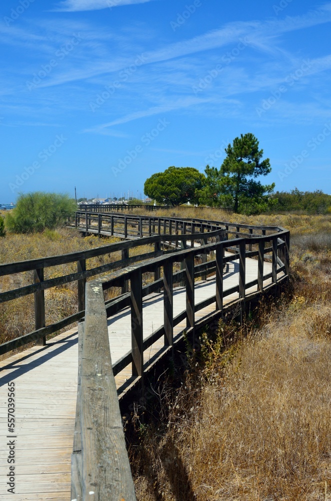 Obraz premium Ria Formosa Natural Park, Olhao, Portugal