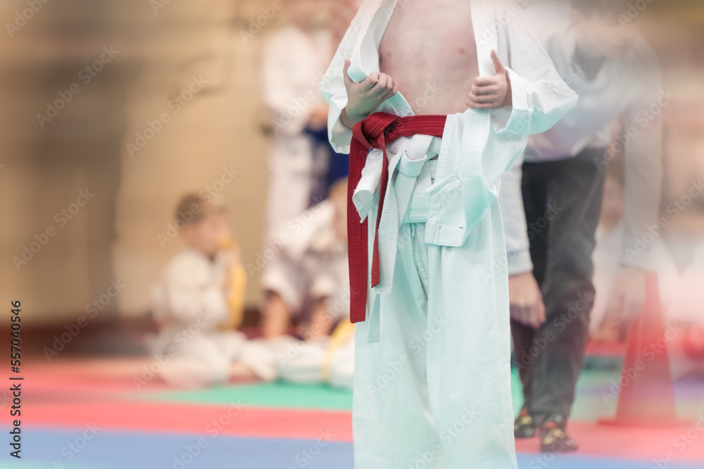Naklejka premium Sports background concept for martial arts with shallow depth of field and motion blur effect. An athlete in a white kimano with a red belt on the tatami before the fight.