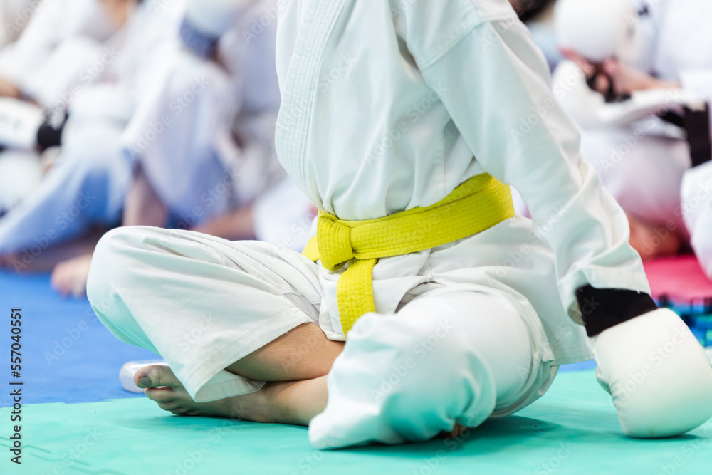 Φωτογραφία Close-Up of Martial Arts Athlete in White Kimono with Yellow Belt and White Glov
