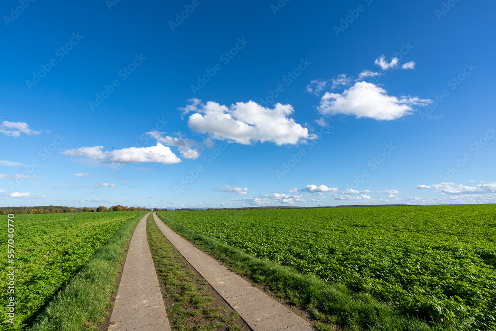 Oberriexingen Landschaft