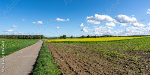 Oberriexingen Landschaft