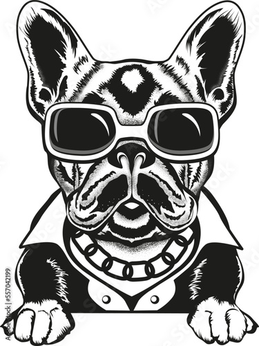 Cool french bulldog with glasses