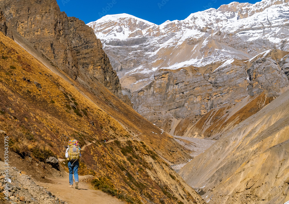Trekker walking on foot path in the himalayas on the Annapurna Circuit Trek