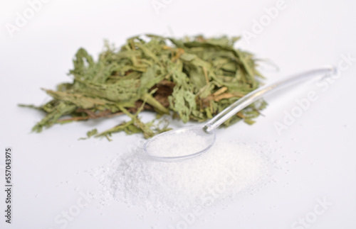 Dried stevia plant with Stevioside. Natural sweetener Isolated on white background photo