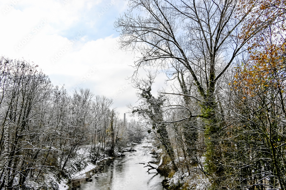Münchenstein, Birs, Fluss, Birstal, Baselland, Arlesheim, Reinach, Wald, Waldweg, Auwald, Uferweg, Wanderweg, Renaturierung, Winter, Winterlandschaft, Winterspaziergang, Eis, Schnee, Basel, Schweiz Münchenstein, Birs, Fluss, Birstal, Baselland, Arlesheim, Reinach, Wald, Waldweg, Auwald, Uferweg, Wanderweg, Renaturierung, Winter, Winterlandschaft, Winterspaziergang, Eis, Schnee, Basel, Schweiz