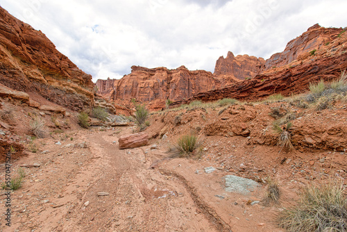 фотографія Upheaval Dome-Canyonlands National Park