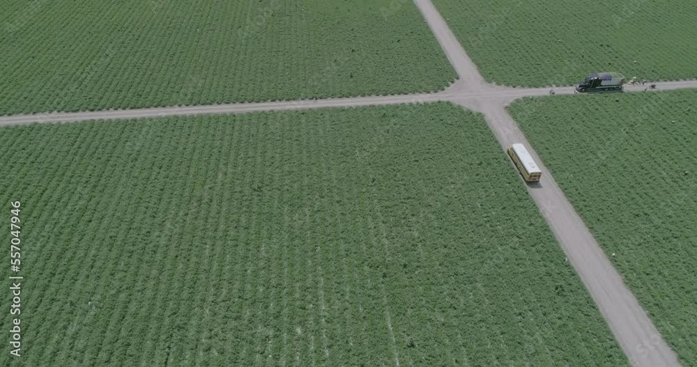 campos de agricultura
