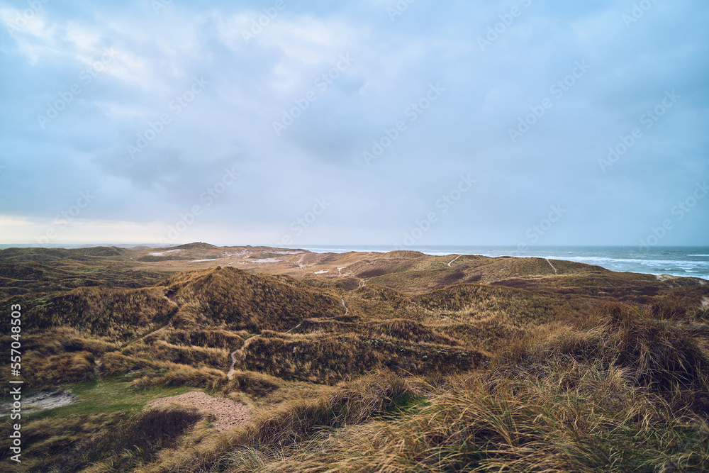 wide dune landscape in denmark. High quality photo