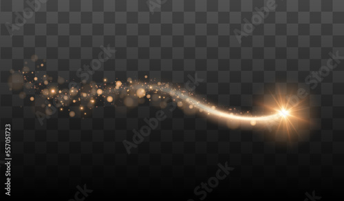 Glowing Christmas Star with Stardust Trail. Vector illustration(Multiple values)