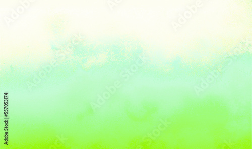 Gradient green white Background gentle classic texture for celebration   party   social media  events  art work  poster  banner  promotions  and online web advertisements