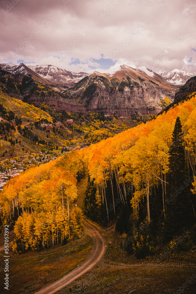 View from a gondola of tall aspen trees and striking mountain landscape views in Telluride, Colorado in the fall