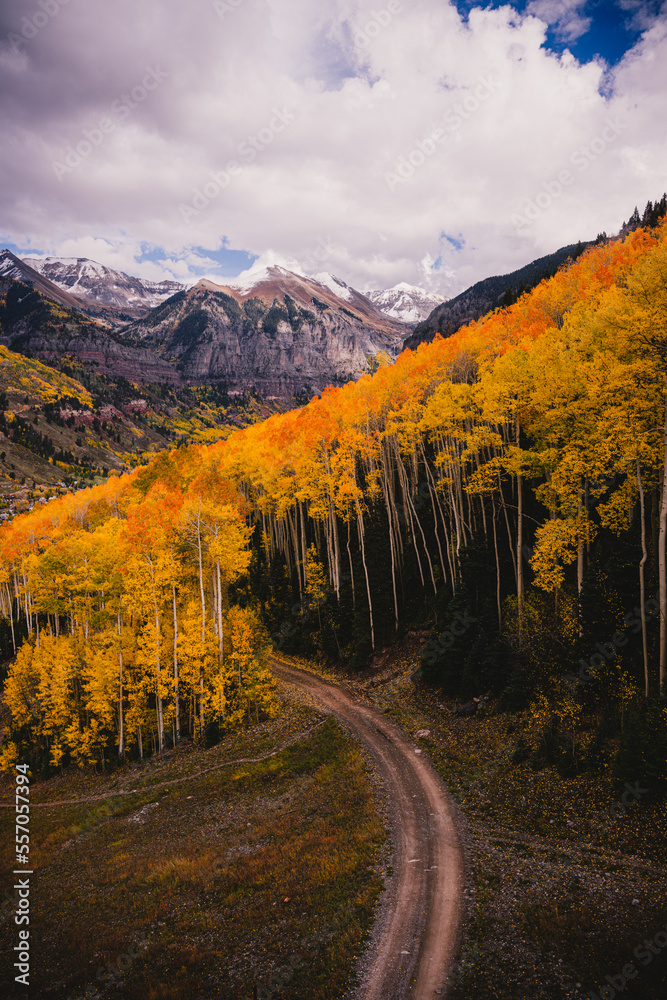 Obraz premium View from a gondola of tall aspen trees and people walking, scenic views in Telluride, Colorado in the fall