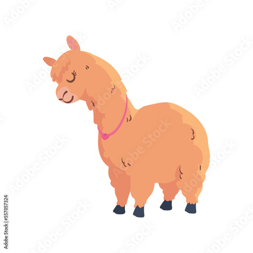 cute llama design