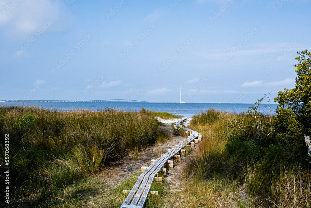 A narrow boardwalk through a marsh with Apalachicola Bay and the St George Island bridge in the background.