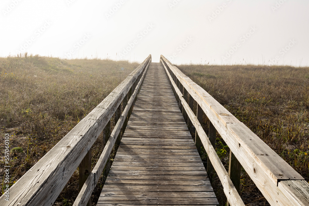  A wooden boardwalk over sand dunes that looks like it's going into infinity. 