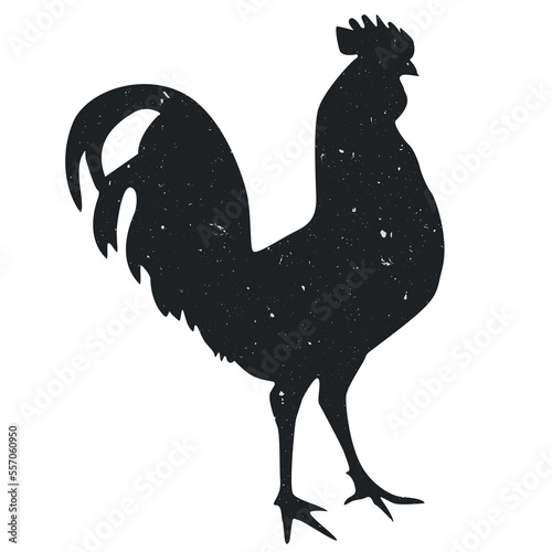 Stampa su tela silhouette of cockerel