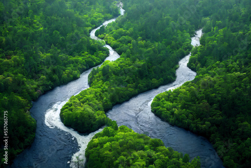 river in the tropical jungle forest