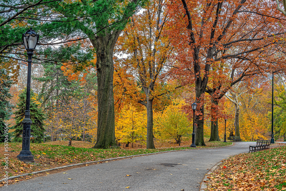Naklejka premium Autumn in Central Park