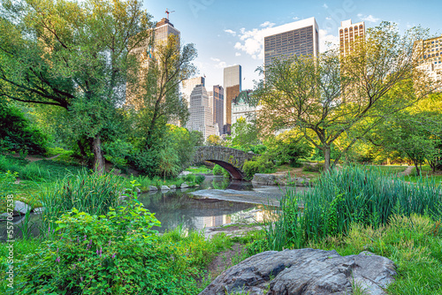 Photography Gapstow Bridge in Central Park