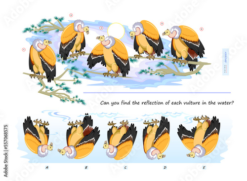 Logic puzzle game for children and adults. Can you find the reflection of each vulture in the water? Brain teaser book. Developing kids spatial thinking. Task for attentiveness. Vector illustration.
