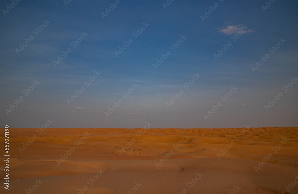 Wahiba Sands, desert of Oman