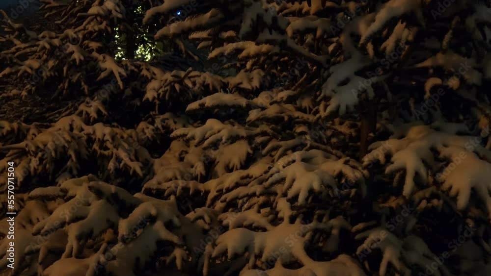background of a tree background of a tree